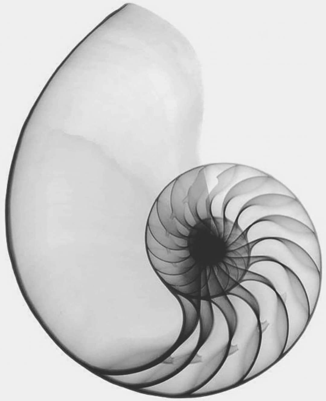 Mappatura dei punti del corpo