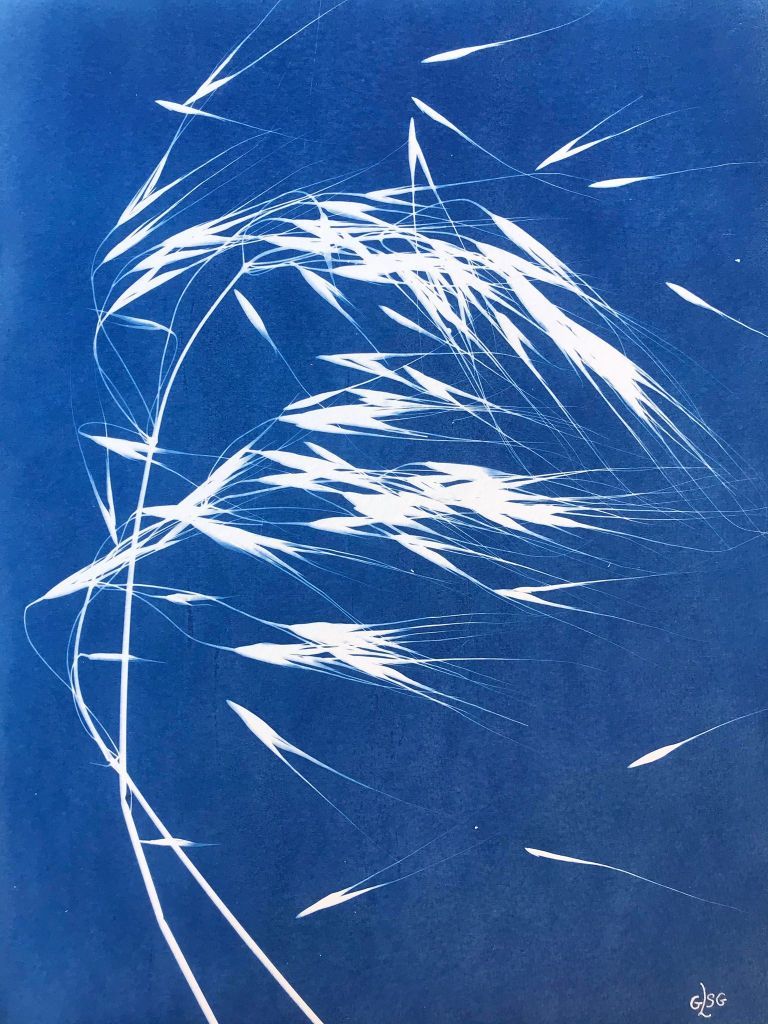 Trasformazione del vissuto